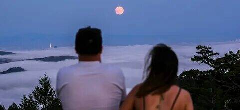 Мифы о планировании пола ребенка по крови родителей.