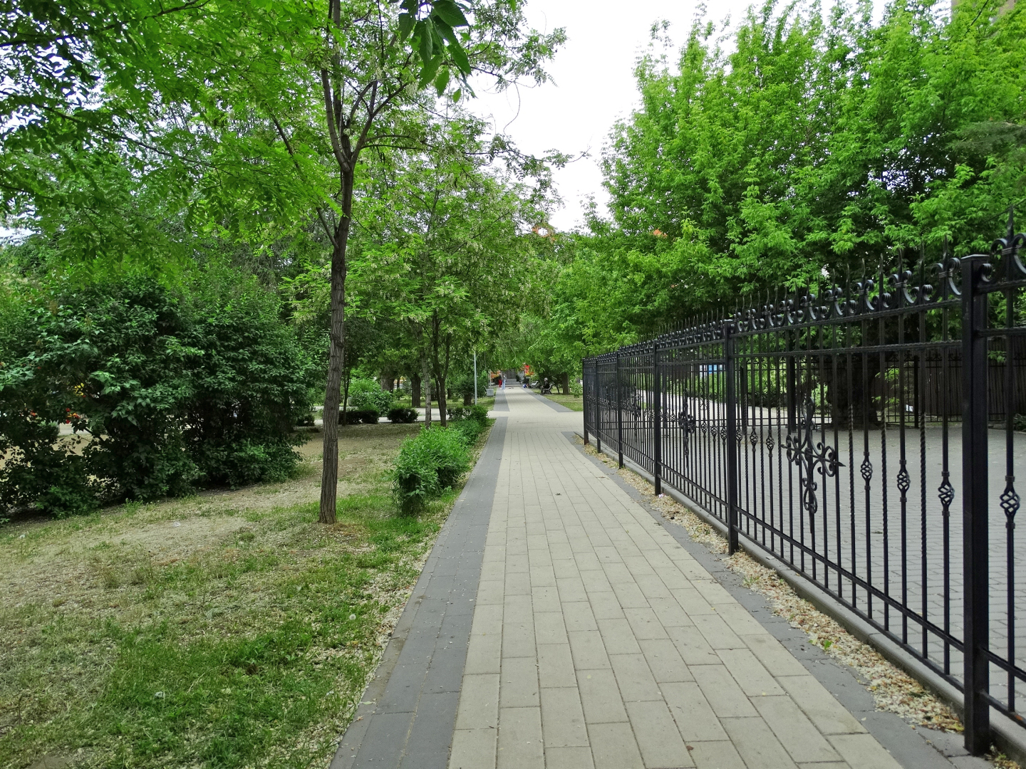 Парк Лесогород на Тулака. Волгоград