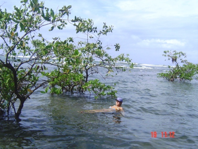 Онкологическое отступление № 15. Наша практическая методика лечения рака мозга, ее отличия от стандартной и результат на сегодняшний день