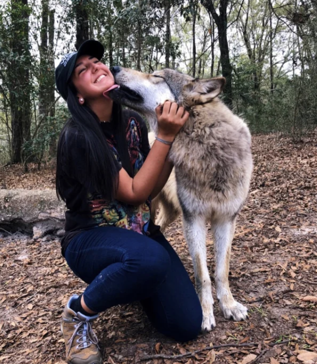 Охотник спасает тонущего волка, то, что произойдет через год, поразит вас!