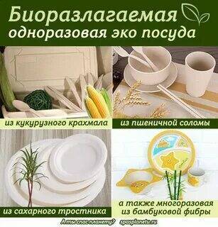 Биоразлагаемая посуда в России.