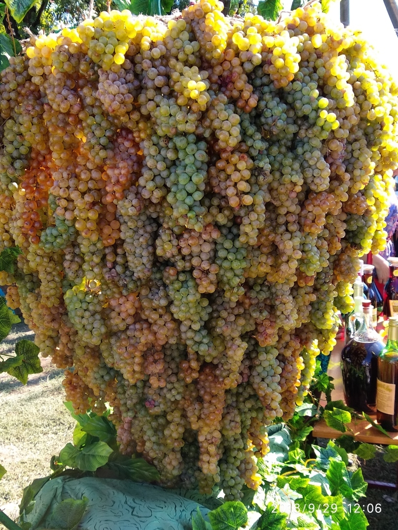 Рекомендую всем побывать на фестивале "Донская лоза" в хуторе Пухляковском Ростовской области. Впечатляемо, незабываемо и весело!