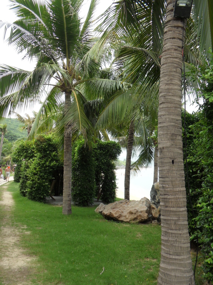 Мое путешествие во Вьетнам: необычная еда, которую стоит попробовать