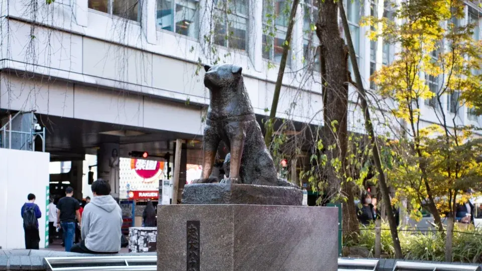 Знаменитая собака Японии: Хатико родился 100 лет назад