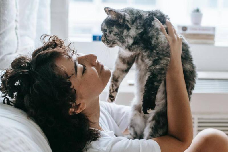 Тайны кошачьего мира. Большой анализ поведенческих паттернов.