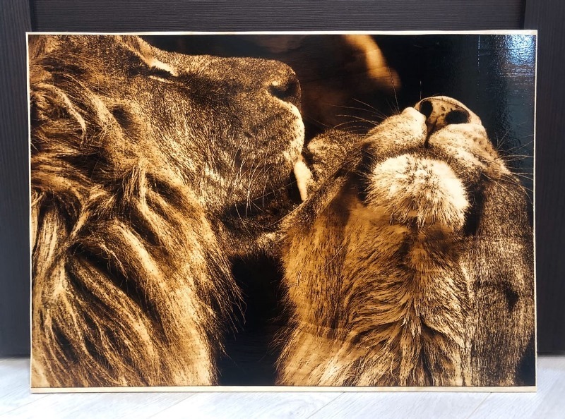 🎨 Опрос: Искусство в Огне! 🎨