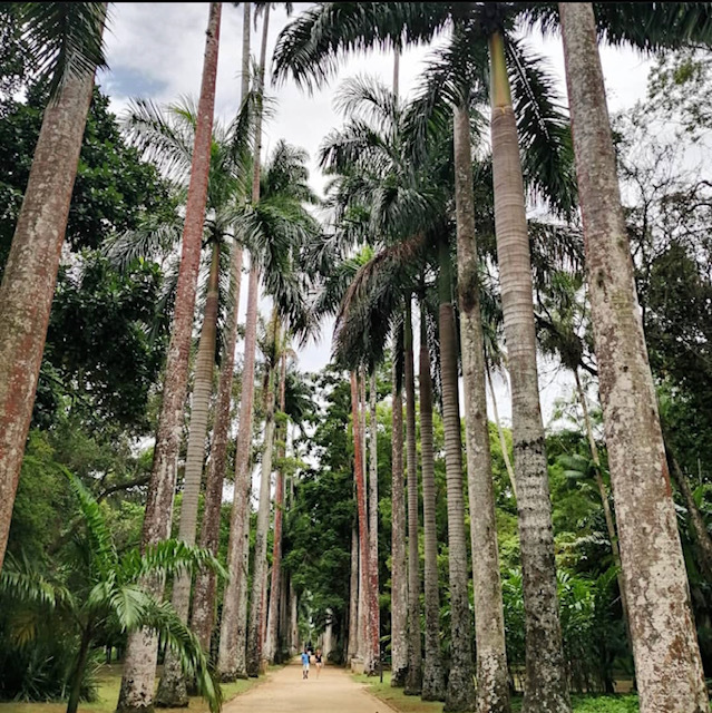 «Тебя там изнасилуют и убьют», – говорили они. Правда ли, что в Бразилии опасно? Путешествие в Рио-де-Жанейро