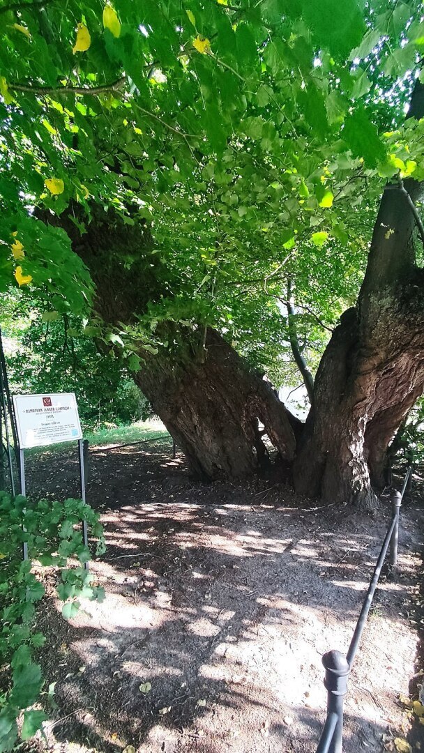 Рассказ "Город Светлогорск"