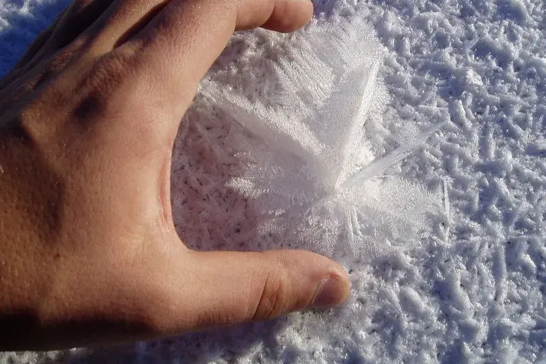 5 интересных фактов, которыми вы можете поделиться со всеми