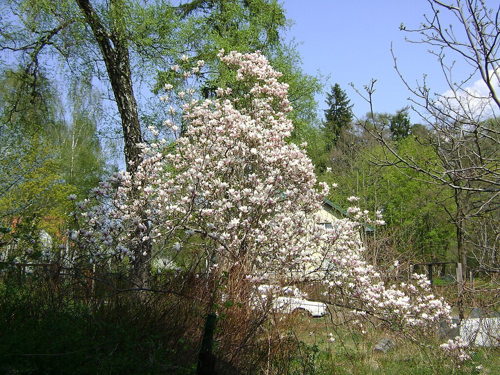 Рассказ "Город Светлогорск"