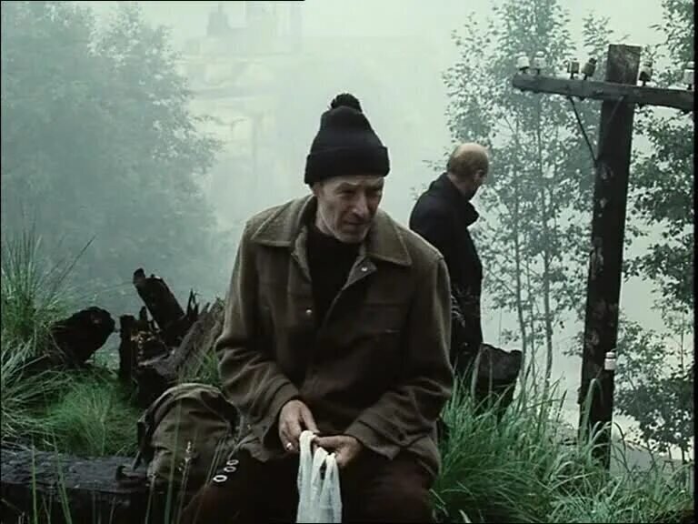 О ценностях и том, почему детей должно быть больше 1. Или как я в лес ходила.