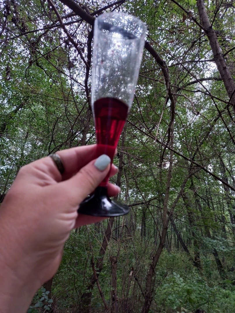 Путешествие по Шолоховским местам, которое подарило мне и приключения и познавательную программу