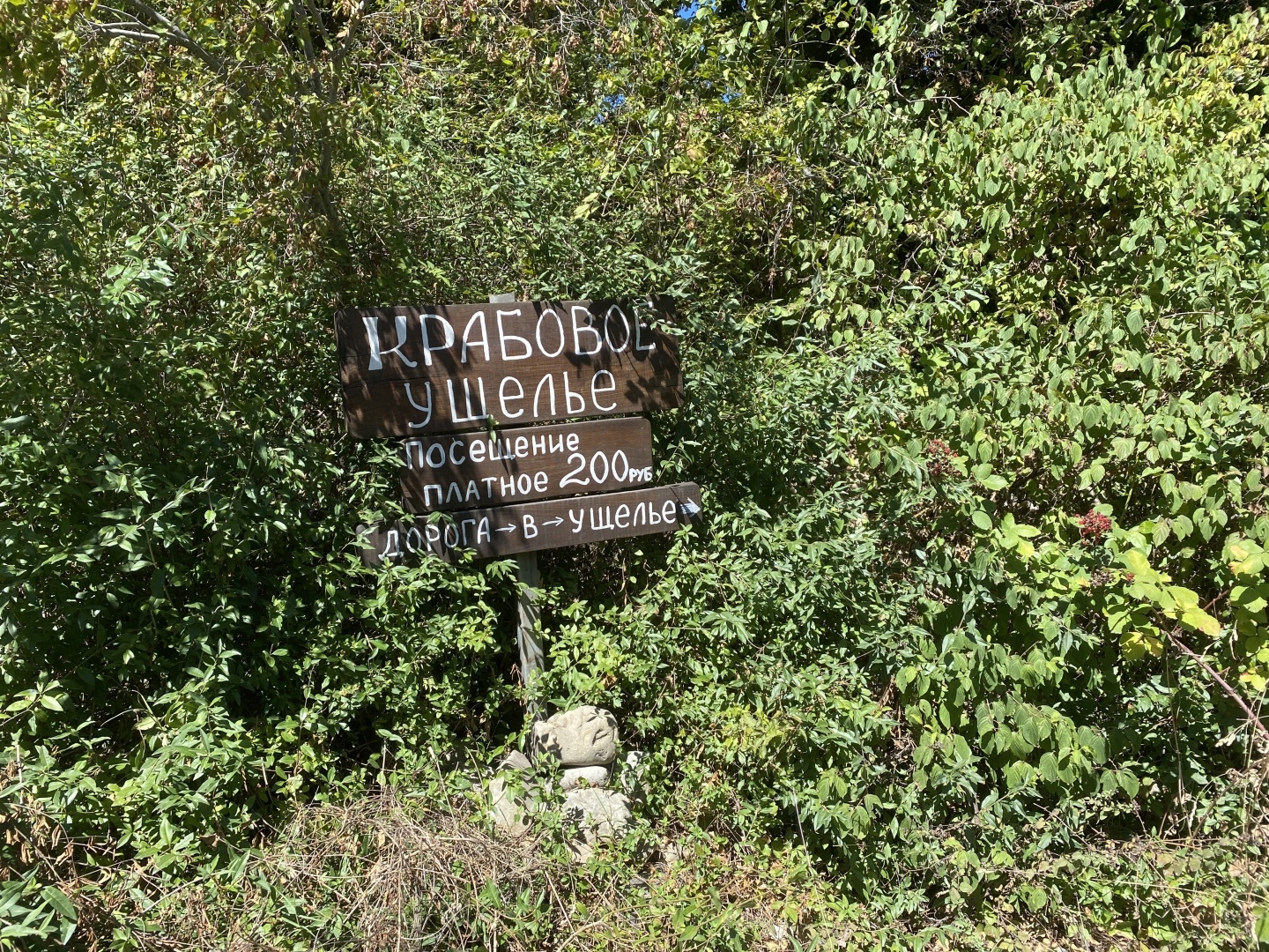 Куда пойти в Лазаревском. районе Сочи. Интересные места в Лазаревском районе