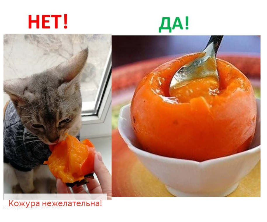 Знаете ли вы эти шесть правил, как есть хурму, и не навредить здоровью?