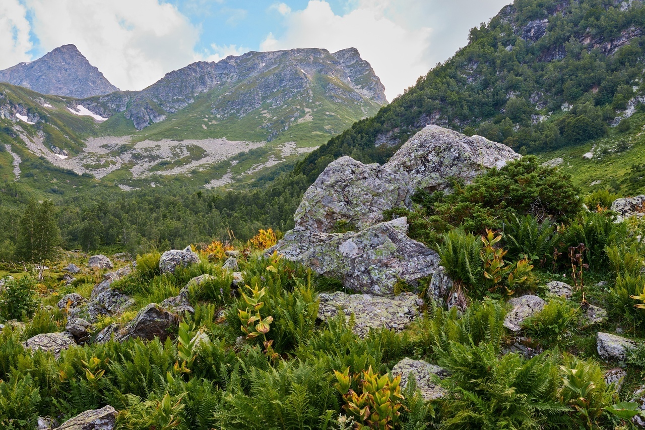 Благодаря кому я узнаю новое о местах, где проводят досуг краснодарцы