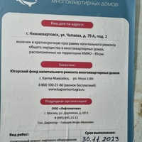 IMG_6711.jpeg
