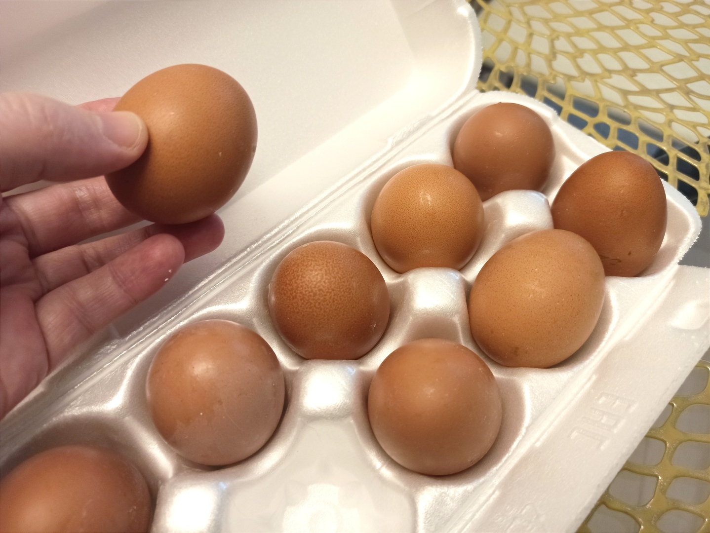 Они что, золотые? Почему подорожали куриные яйца? Мой рейд по магазинам