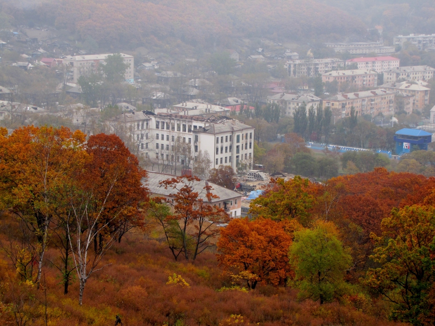 Такая маленькая но привлекательная и приятная на вкус и цвет!