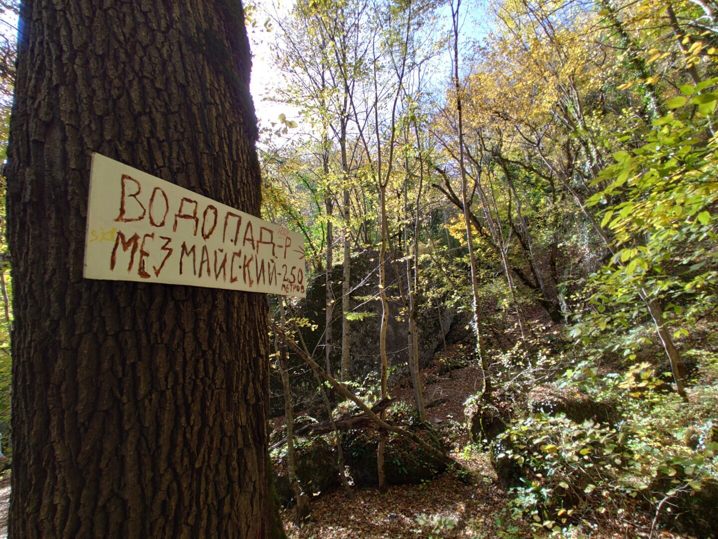 Подробное описание маршрута из Краснодара к водопадам Руфабго в Адыгее и самая большая загадка Руфабго