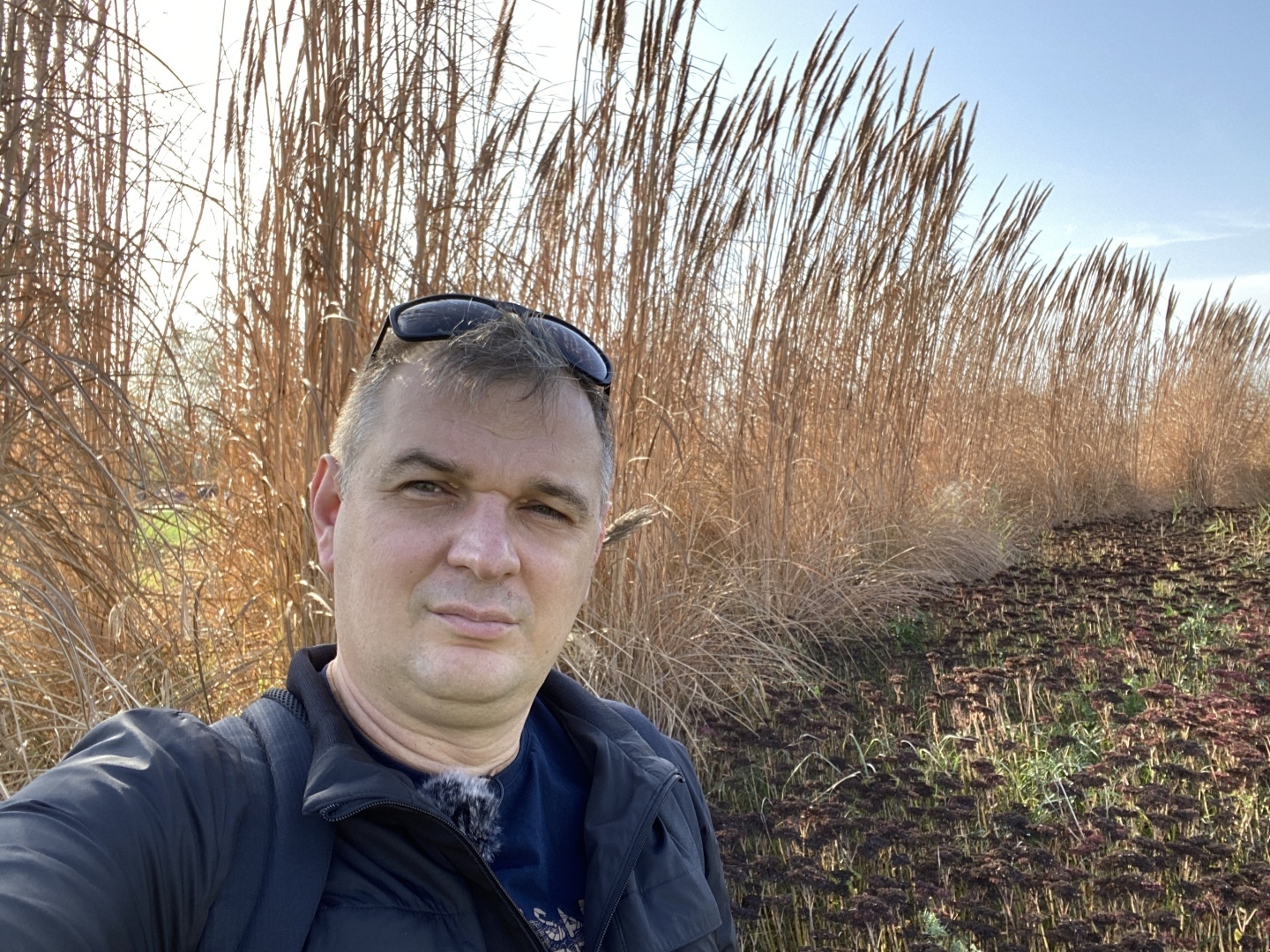 Отдых выходного дня в Ростовской области