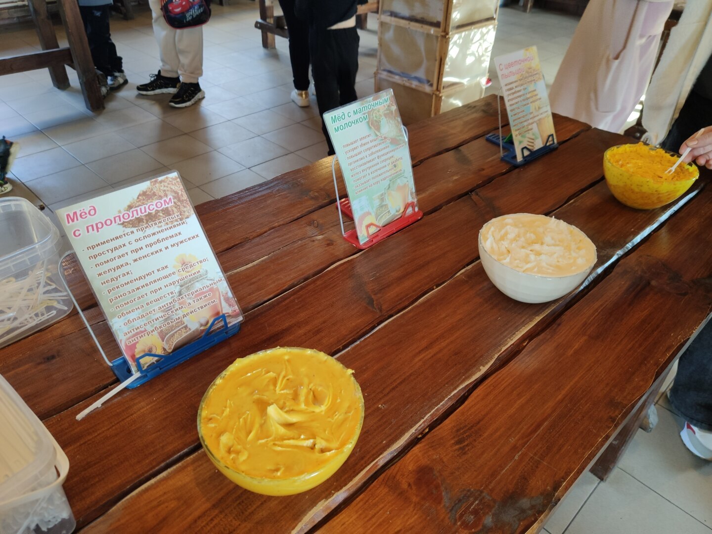 Подробное описание маршрута из Краснодара к водопадам Руфабго в Адыгее и самая большая загадка Руфабго