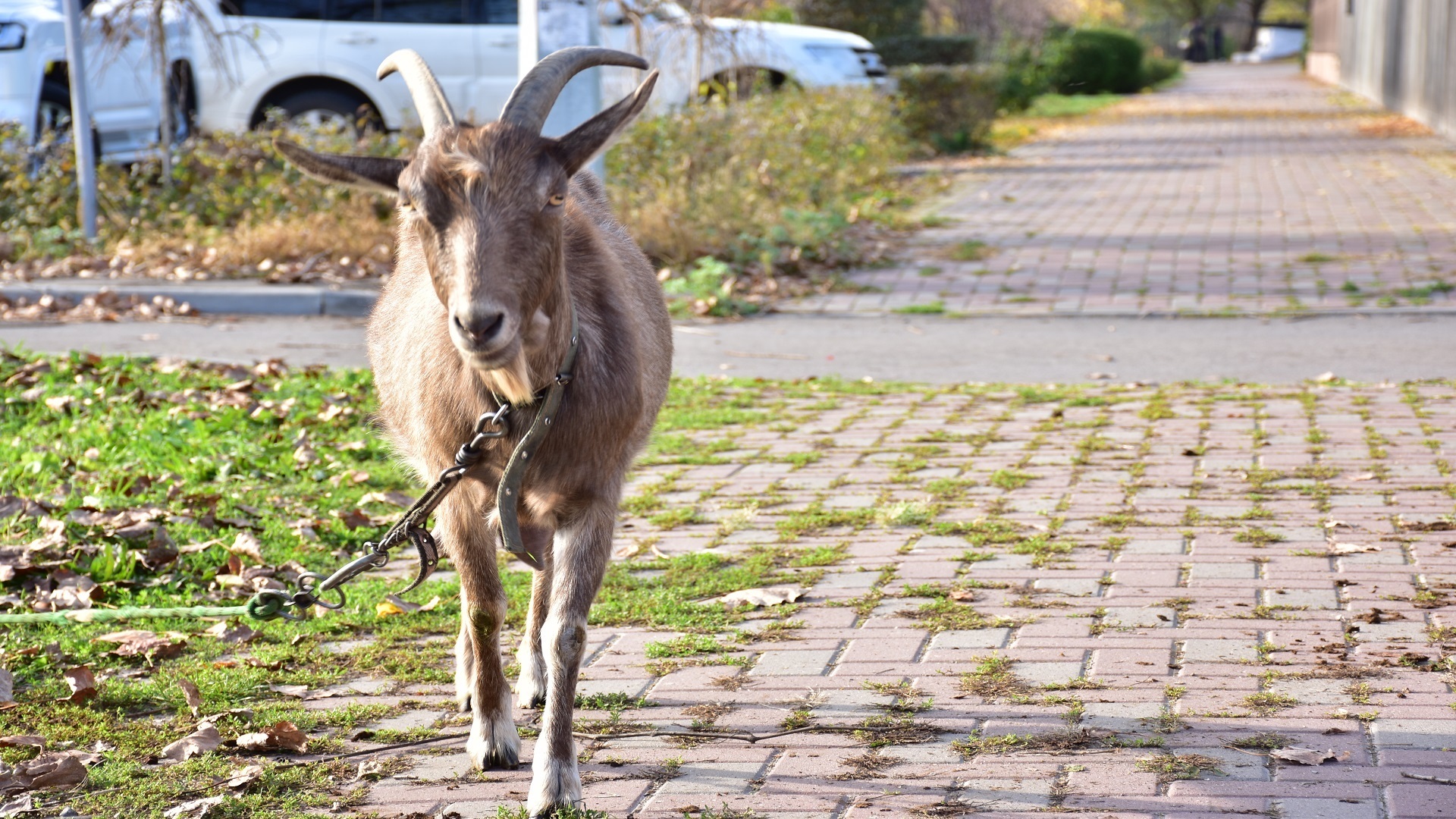 Отдых выходного дня в Ростовской области
