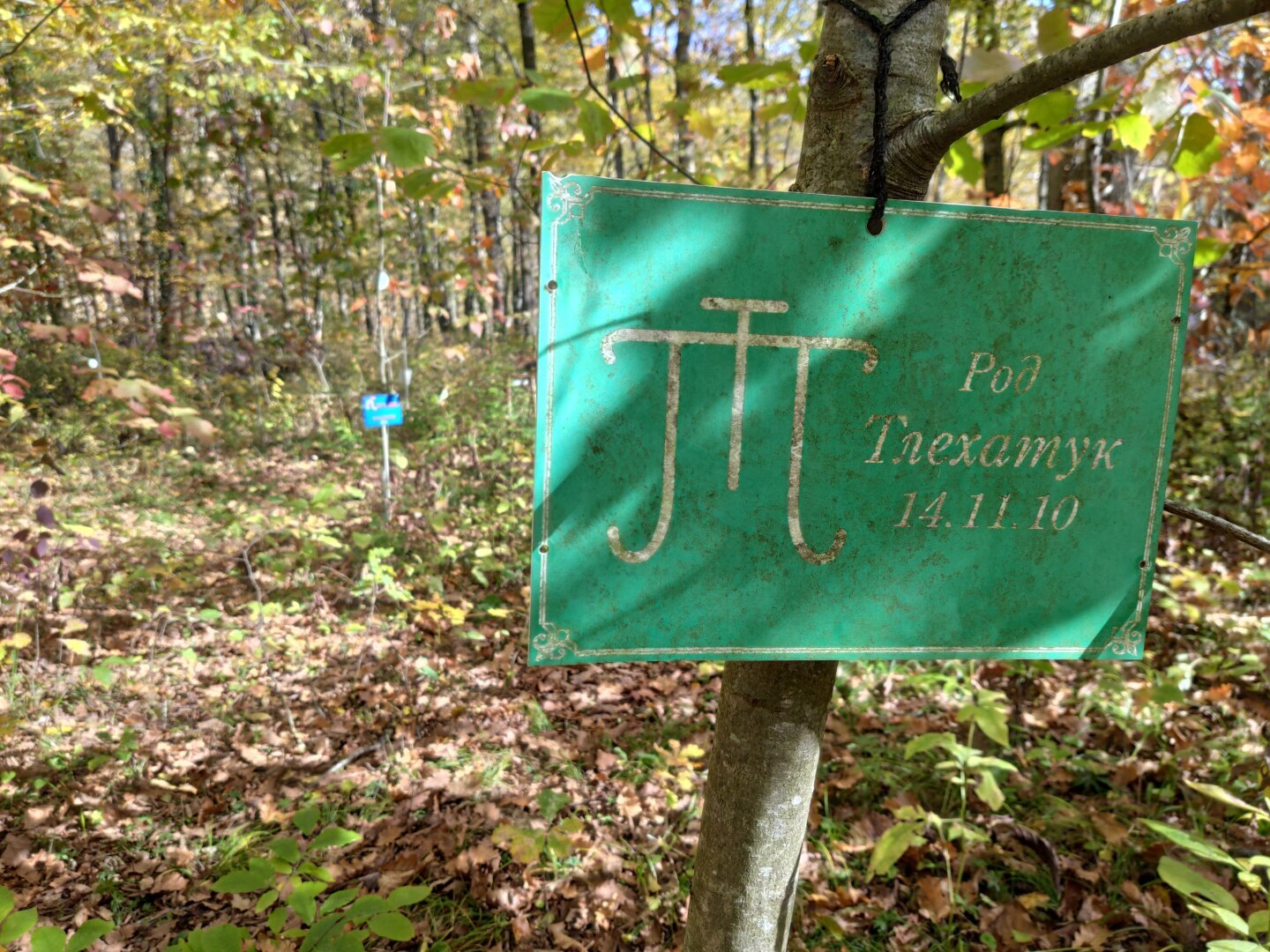 Подробное описание маршрута из Краснодара к водопадам Руфабго в Адыгее и самая большая загадка Руфабго