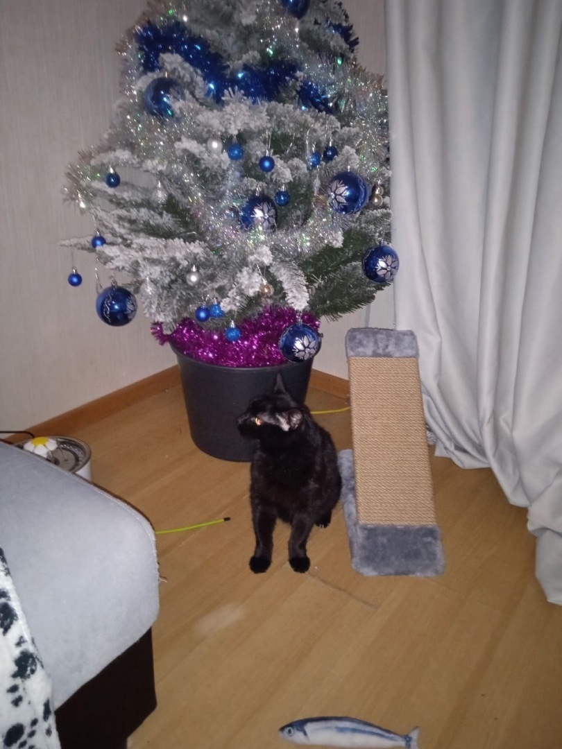 Я задолбалась Новым годом в октябре