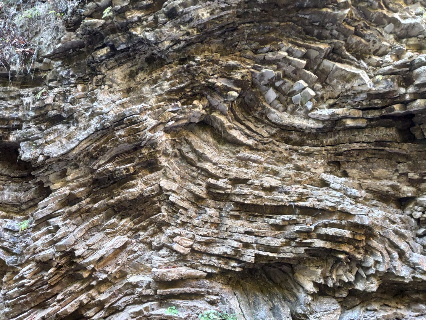 Подробное описание маршрута из Краснодара к водопадам Руфабго в Адыгее и самая большая загадка Руфабго