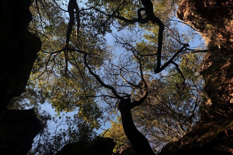 Африка к югу от Сахары только что попала в 100 объектов Всемирного наследия