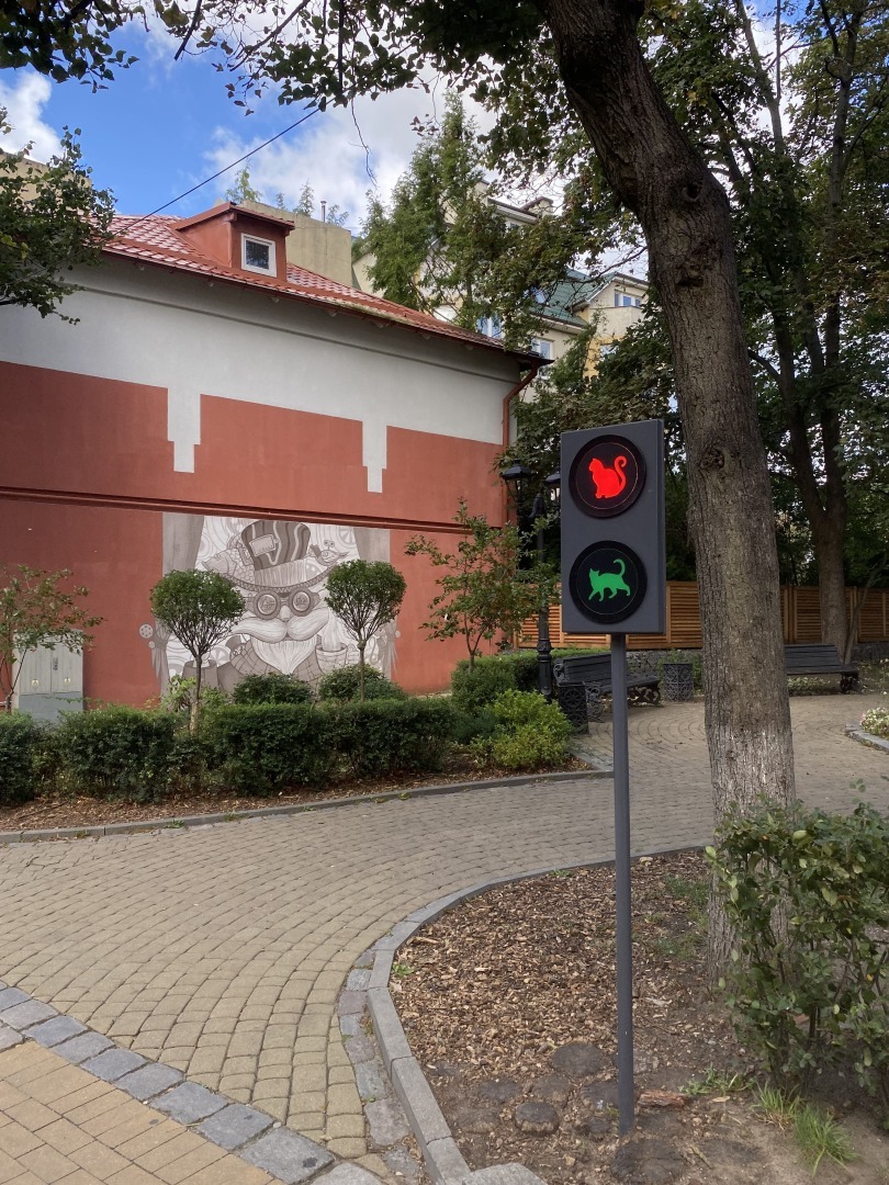 Настоящий кошачий город, где есть должность «Котошефа». Мое путешествие на 1 день в Зеленоградск - город кошек