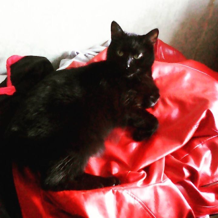 Я не суеверная, а вы?