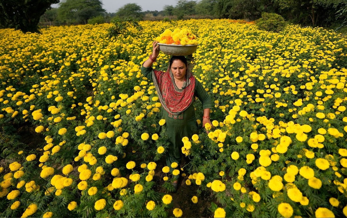 Неделя в 10 фотографиях