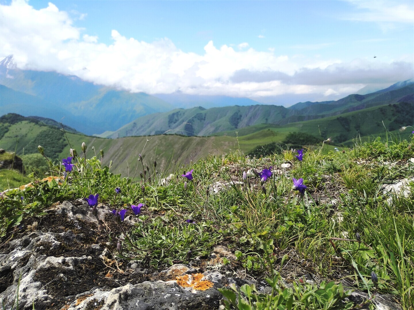 Чем меня покорил Магас. Не знаете, где находится самая маленькая столица субъекта Федерации? Присоединяйтесь, вместе узнаем много интересного.