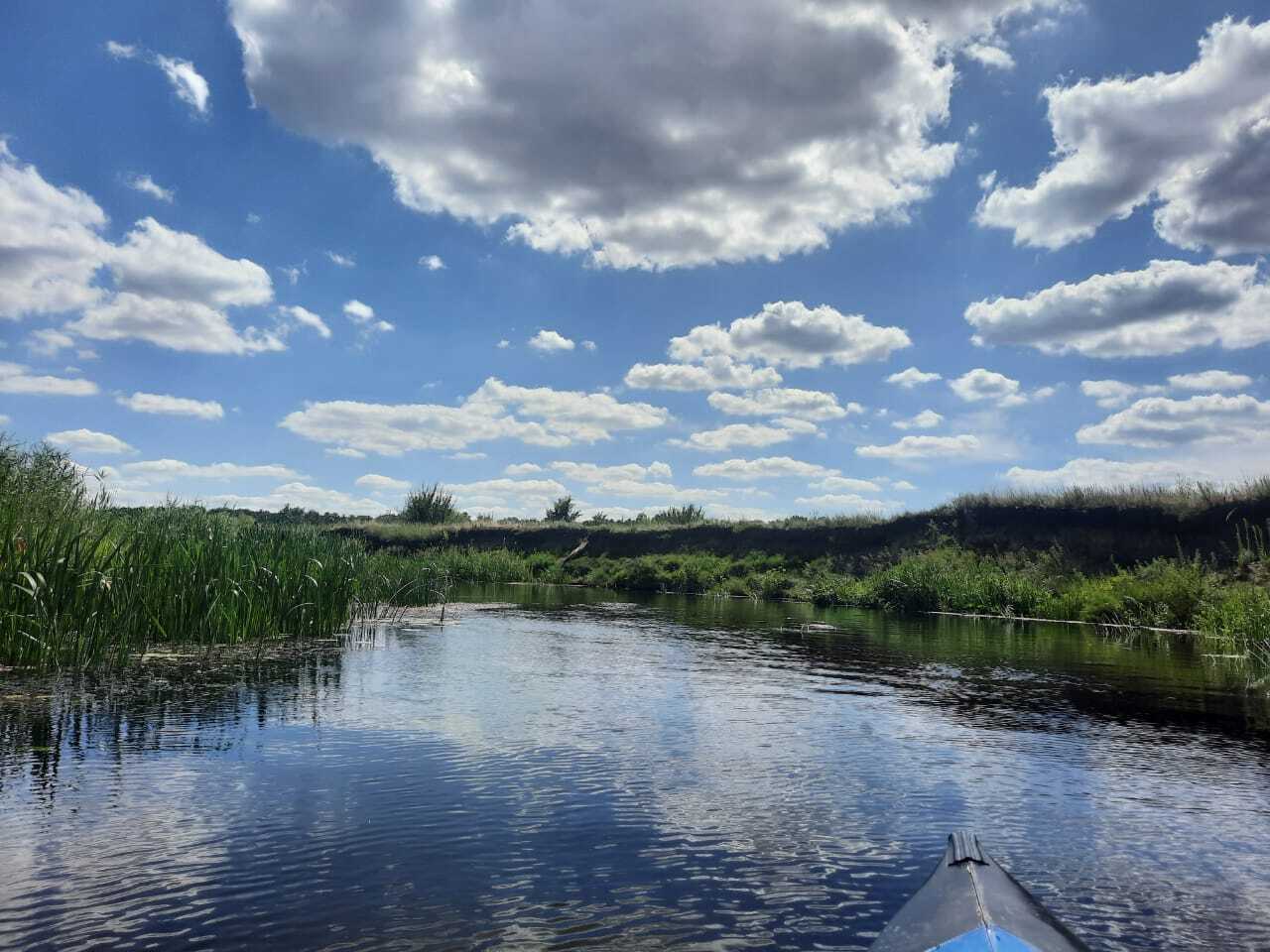 Я загорелась желанием в 2024 году пойти на байдарках, после того, как мои подруги рассказали о путешествии по реке Усманка Воронежской области
