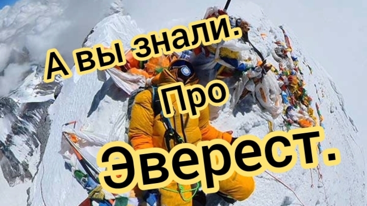 Эверест займ это