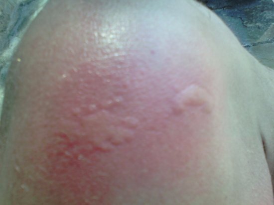 Как мы отдыхали в Турции в ноябре 2 года назад