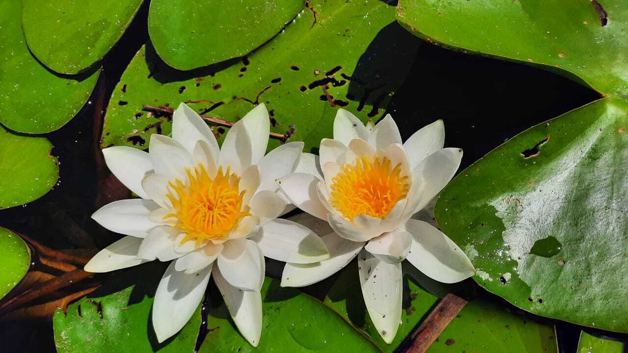 Я загорелась желанием в 2024 году пойти на байдарках, после того, как мои подруги рассказали о путешествии по реке Усманка Воронежской области