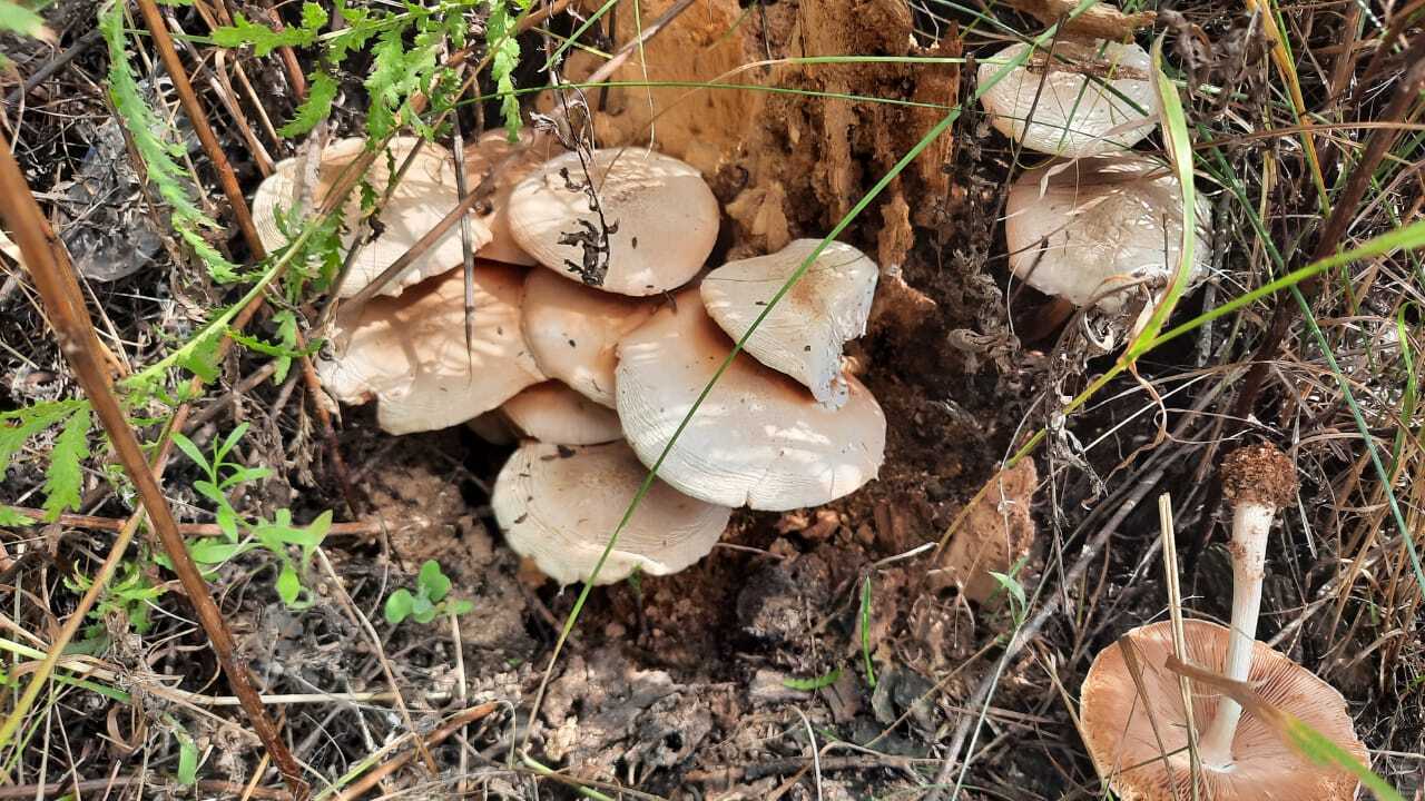 Я загорелась желанием в 2024 году пойти на байдарках, после того, как мои подруги рассказали о путешествии по реке Усманка Воронежской области