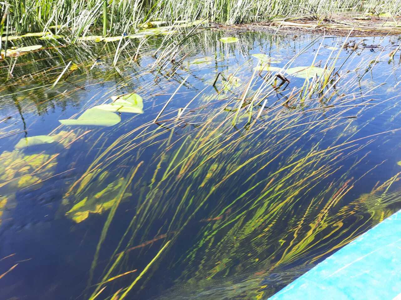 Я загорелась желанием в 2024 году пойти на байдарках, после того, как мои подруги рассказали о путешествии по реке Усманка Воронежской области