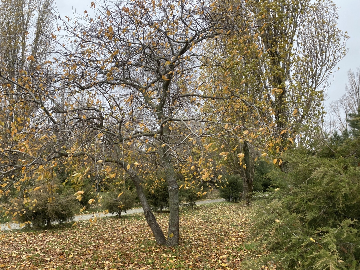 Экстремальная прогулка по Набережной Таганрога. Ни души, кроме шатающихся блогеров.