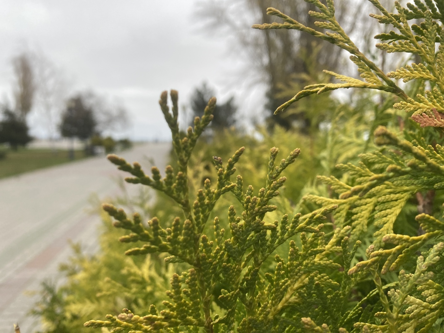 Экстремальная прогулка по Набережной Таганрога. Ни души, кроме шатающихся блогеров.
