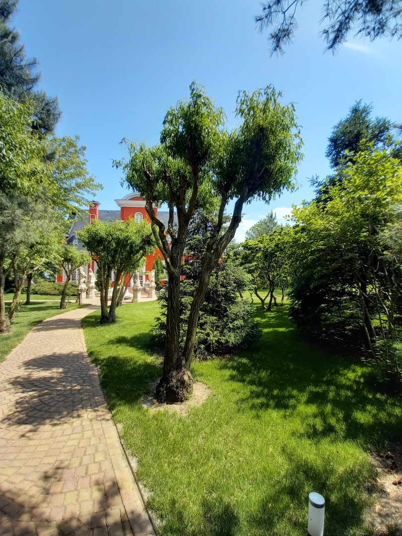 Кусочек Европы в селе Усть-Койсуг