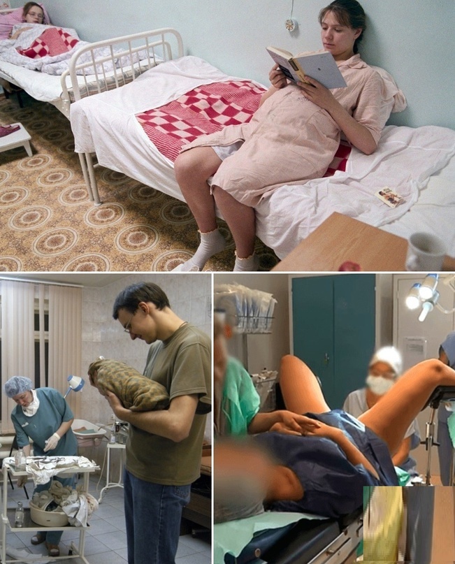 В России недавно появилась необычная инициатива от депутатов Партии ЛДПР