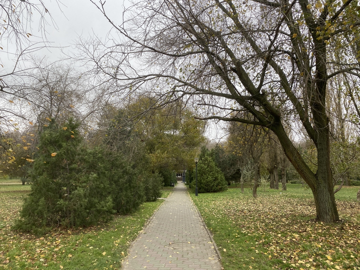 Экстремальная прогулка по Набережной Таганрога. Ни души, кроме шатающихся блогеров.