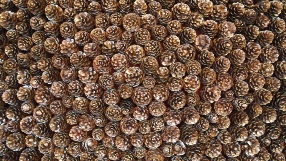 Не читайте эту статью, если вас всё устраивает и ничего не должно меняться.