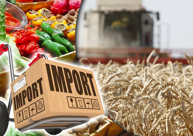 Накормить страну.