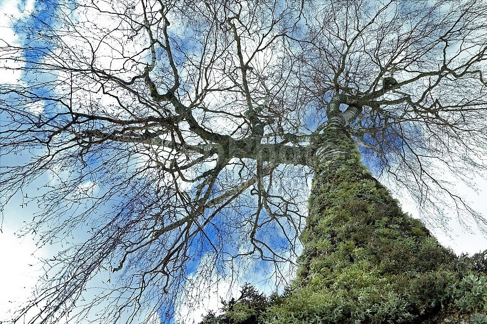 Рассказ "Город Кологрив"