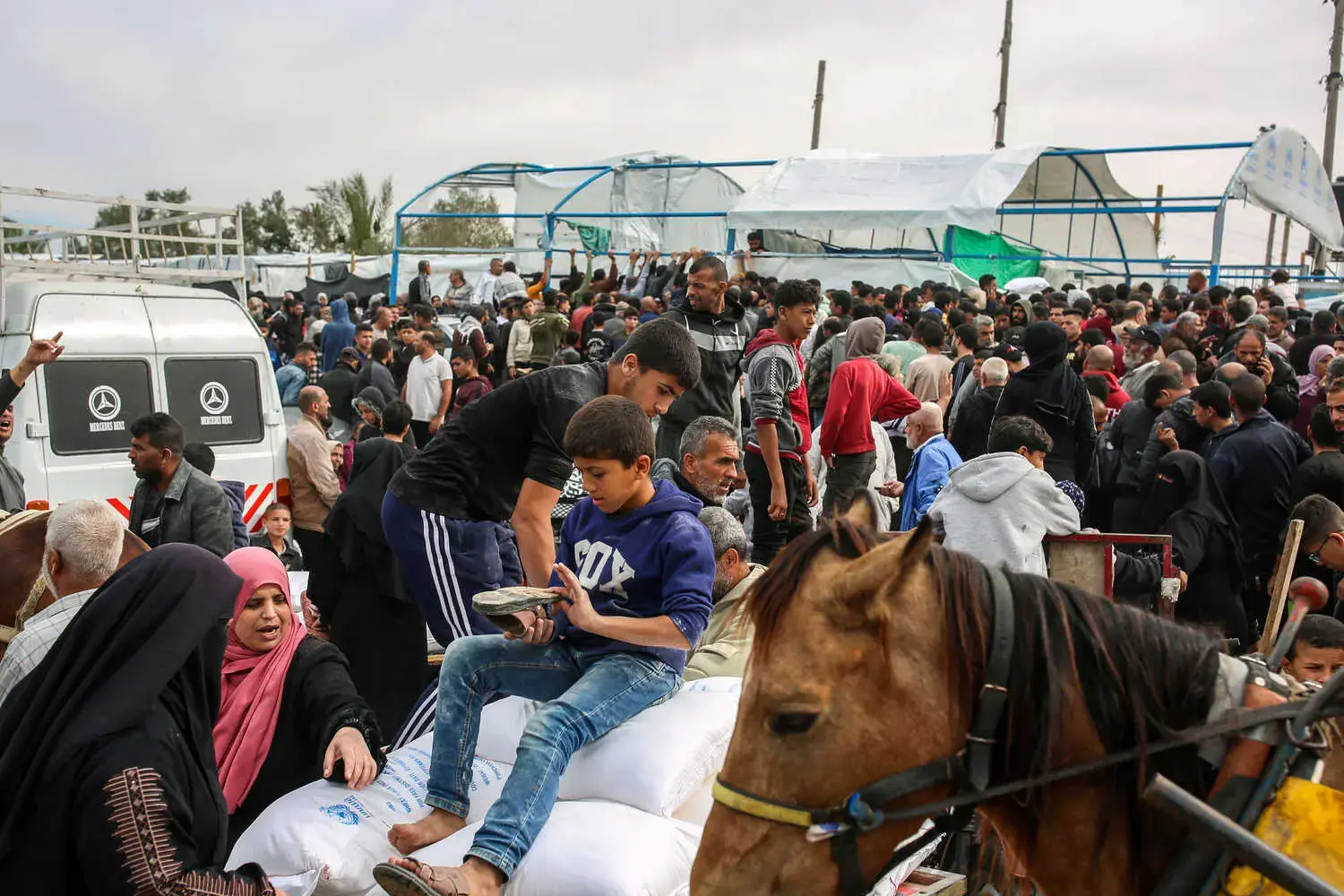 Территориальные споры: почему Израиль и Палестина не могут договориться о границах