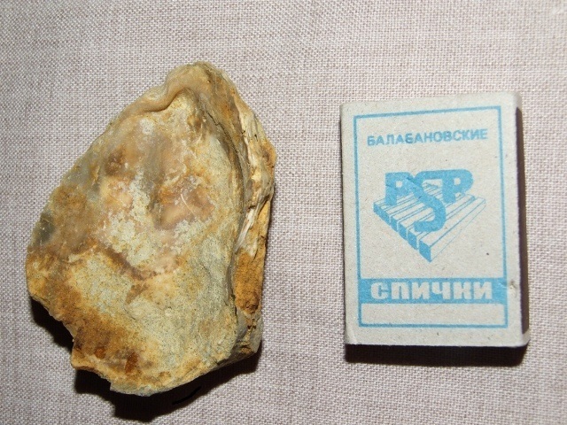 Сокровища которые лежат у нас под ногами.